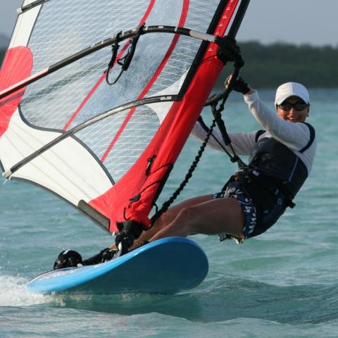 Windsurfer